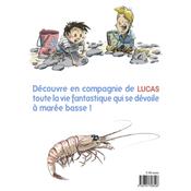 BD - Lucas découvre la mer à marée basse